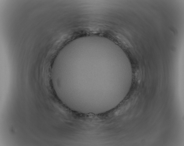 X0000113250961200910081315