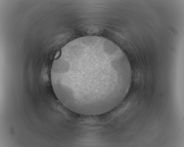 X0000113250962200910081315