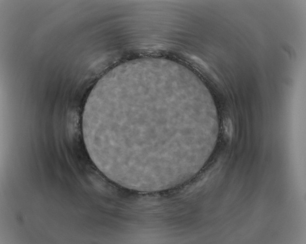 X0000113250964200910081315