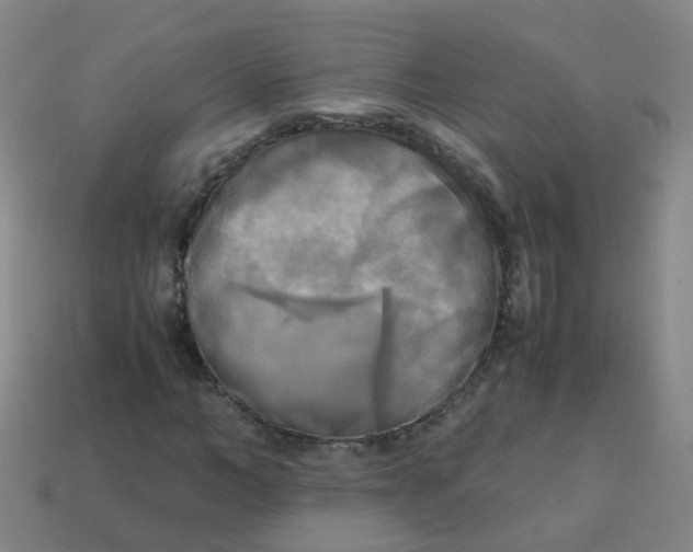 X0000113250966200910081315