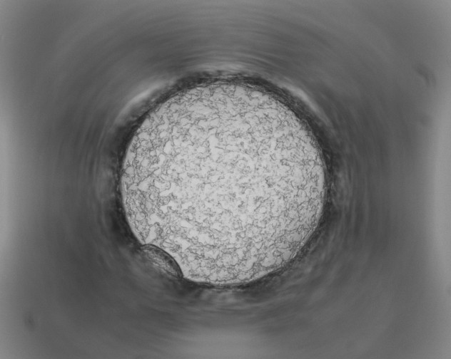 X0000113250967200910081315