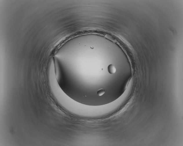 X0000113250969200910081315