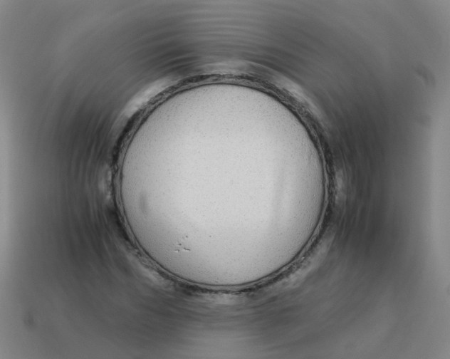 X0000113250970200910081315