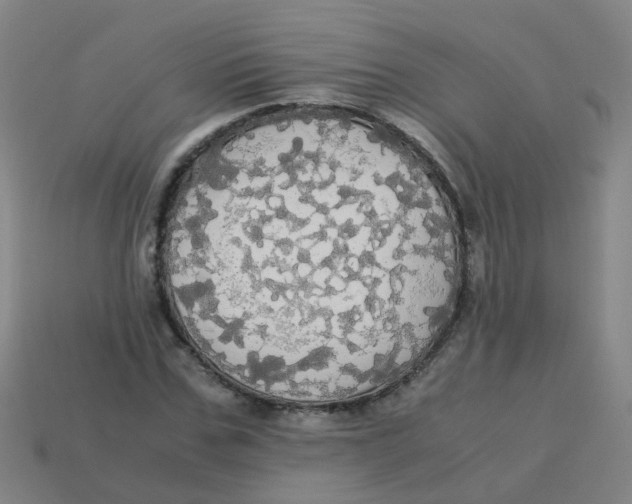 X0000113250971200910081315