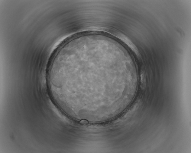 X0000113250972200910081315