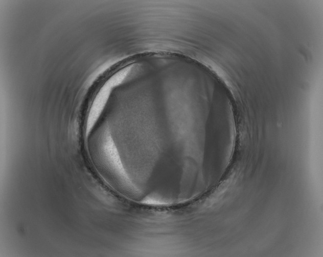 X0000113250975200910081315