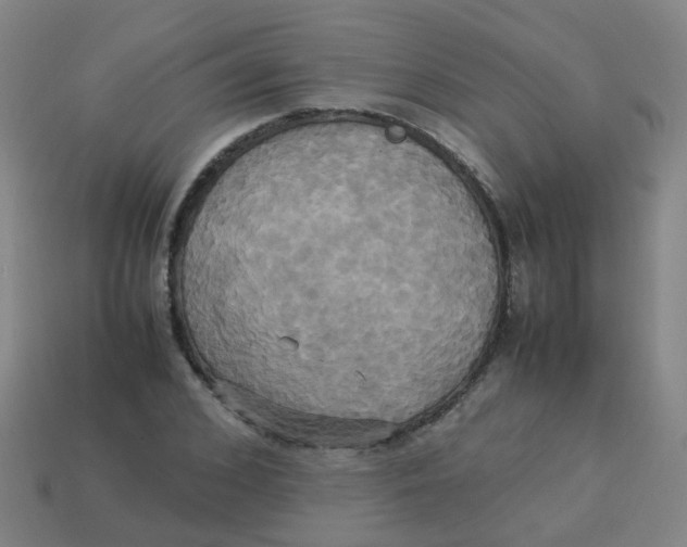 X0000113250976200910081315