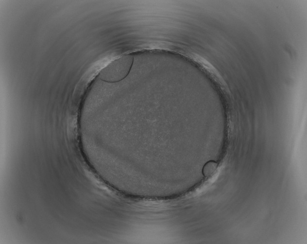 X0000113250977200910081315