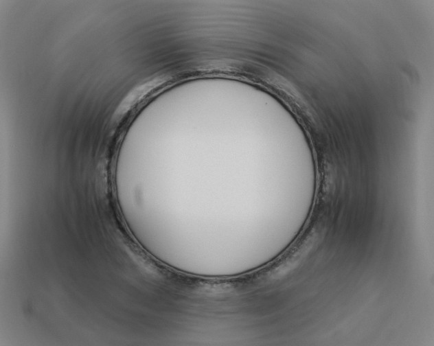 X0000113250978200910081315