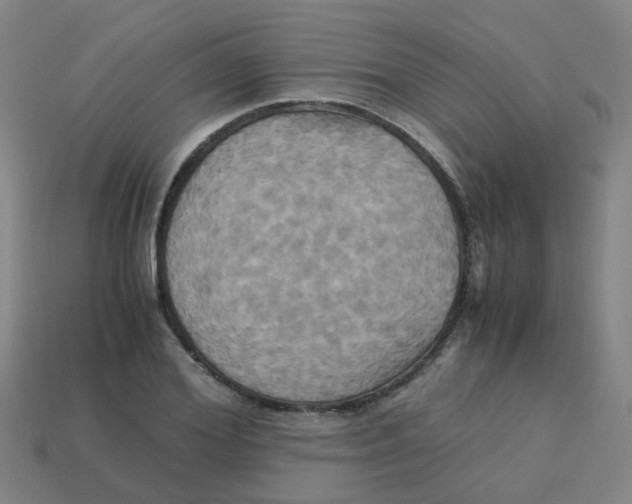 X0000113250980200910081315