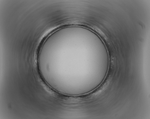 X0000113250981200910081315