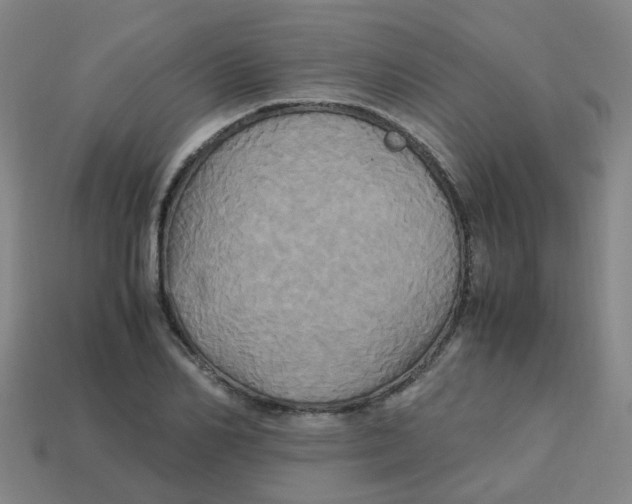 X0000113250982200910081315