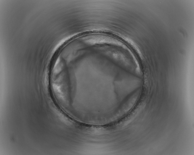 X0000113250983200910081315