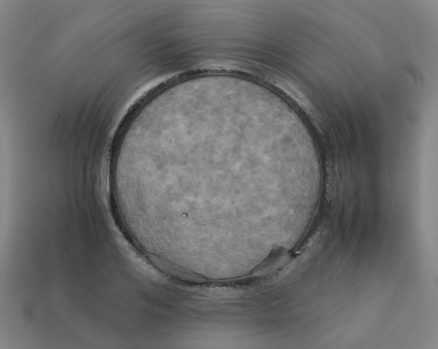 X0000113250984200910081315