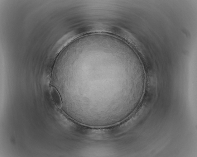 X0000113250985200910081315