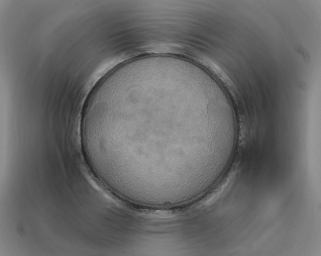 X0000113250986200910081315