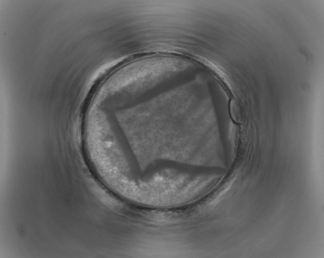 X0000113250987200910081315