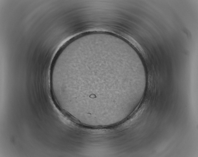 X0000113250988200910081315