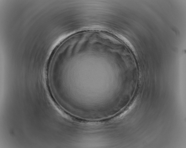 X0000113250989200910081315