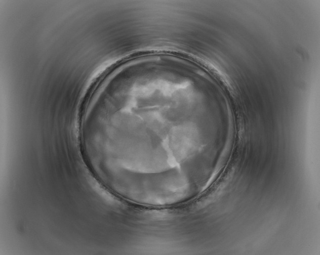 X0000113250990200910081315