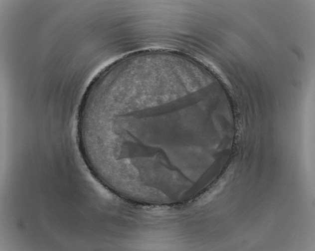 X0000113250991200910081315