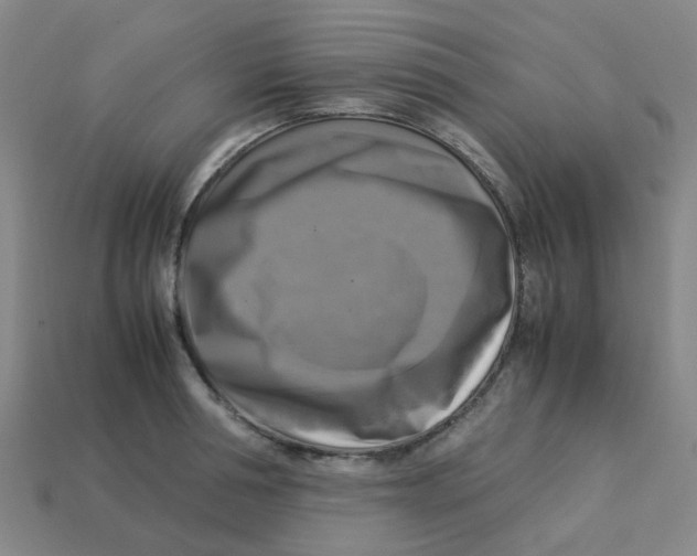 X0000113250994200910081315