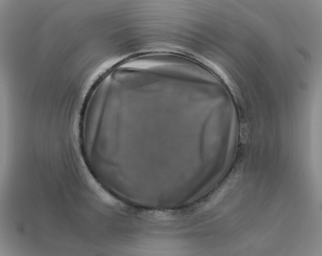 X0000113250995200910081315