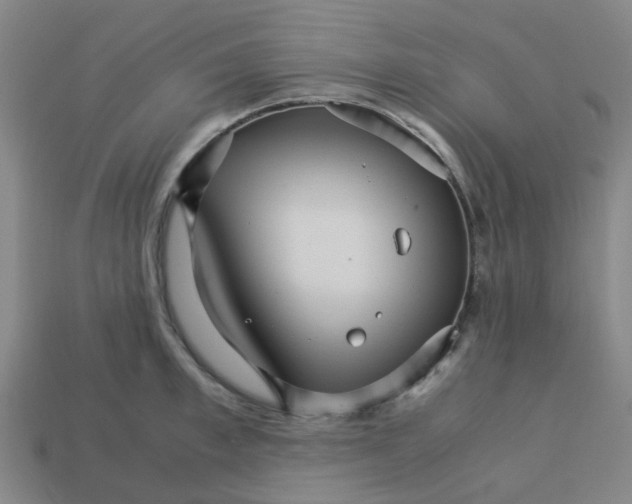 X0000113250997200910081315