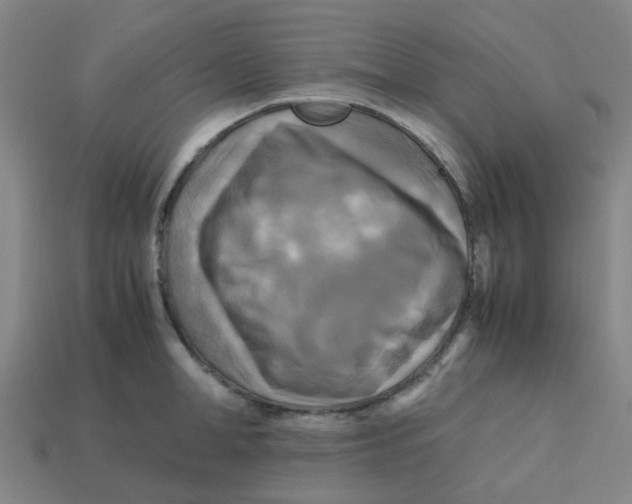 X0000113250998200910081315