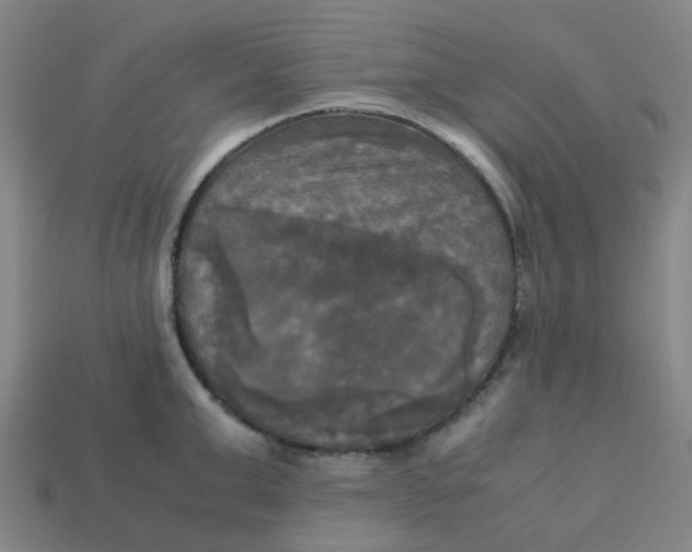 X0000113250999200910081315