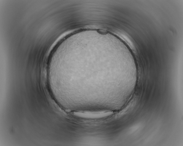 X0000113251000200910081315