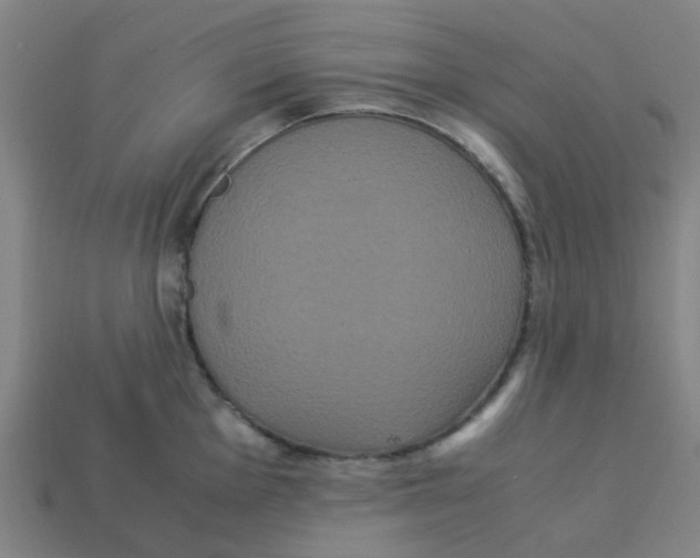 X0000113251001200910081315