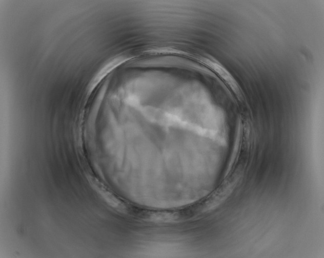 X0000113251002200910081315