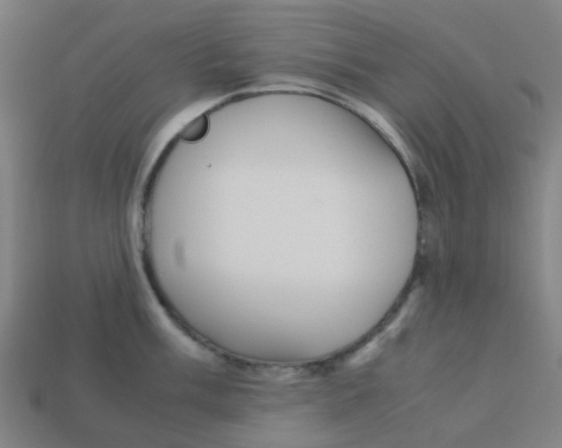 X0000113251003200910081315