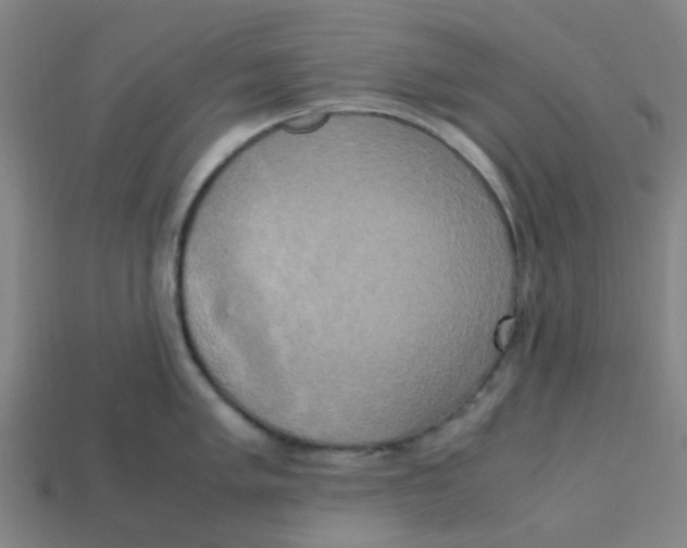 X0000113251005200910081315