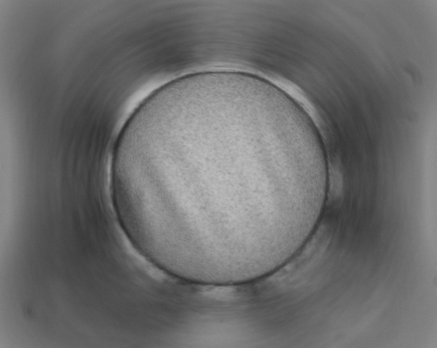 X0000113251006200910081315