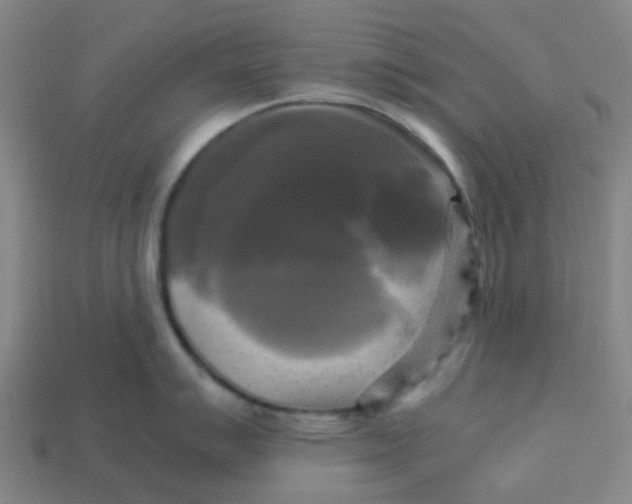 X0000113251007200910081315