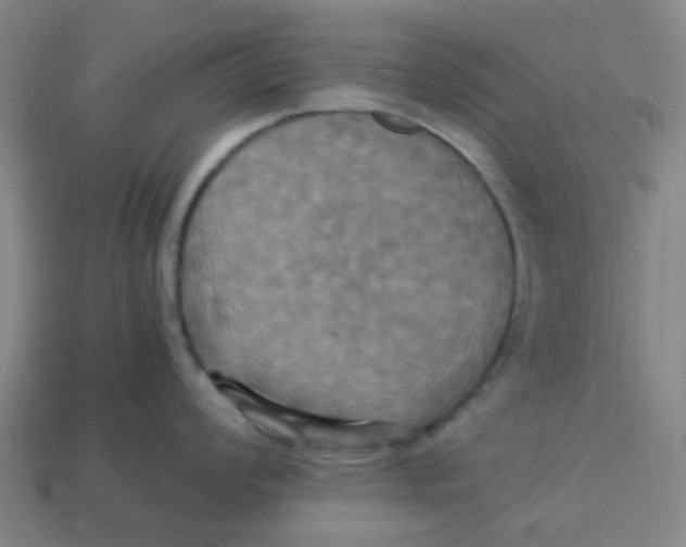 X0000113251008200910081315