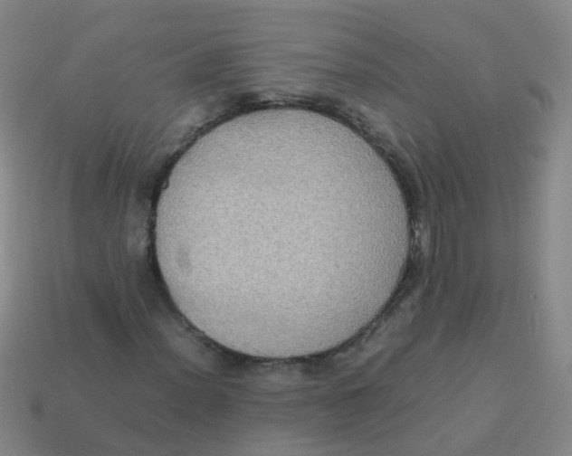 X0000113251012200910081314