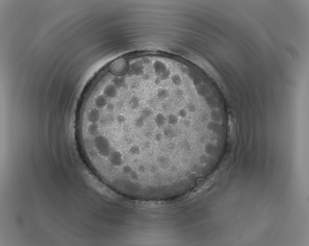 X0000113251020200910081314