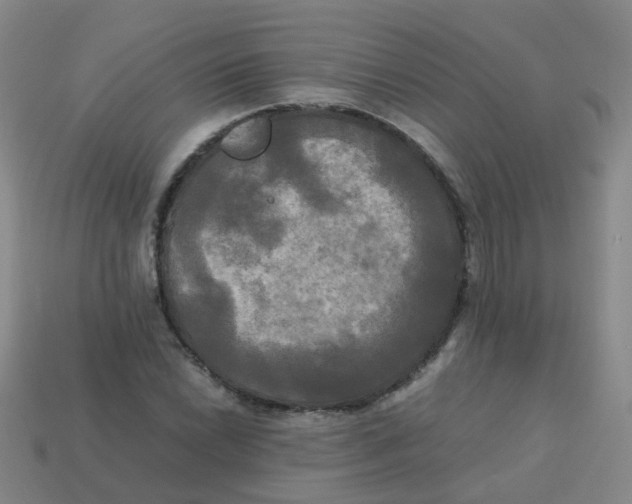 X0000113251022200910081314