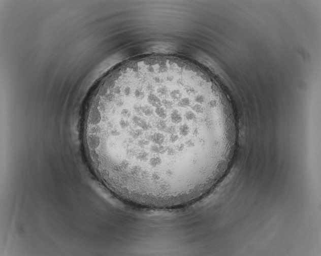 X0000113251026200910081314