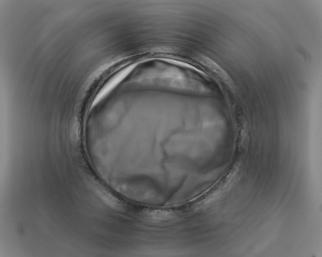 X0000113251027200910081314