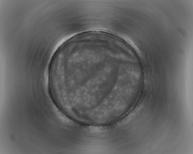 X0000113251032200910081314