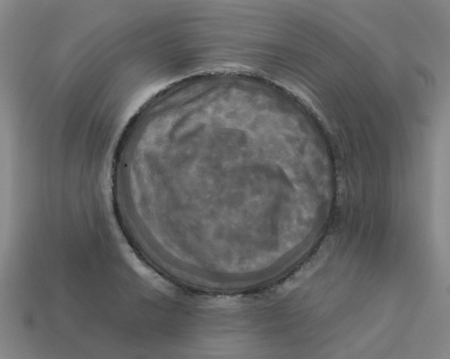 X0000113251038200910081314