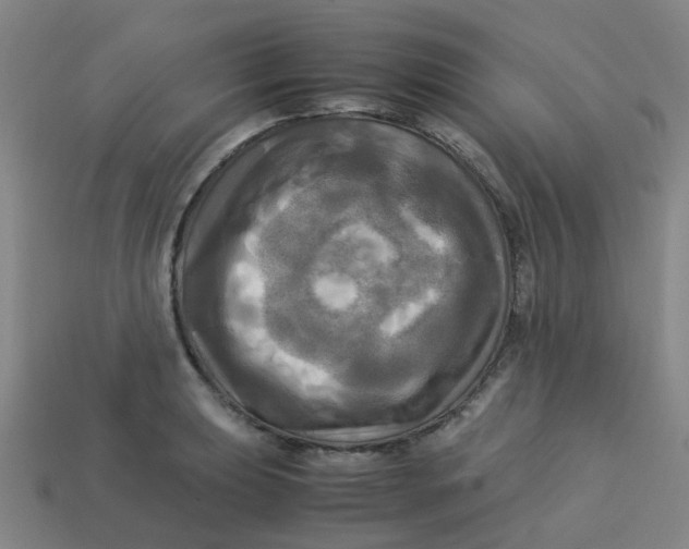 X0000113251039200910081314