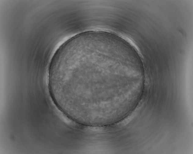 X0000113251040200910081314