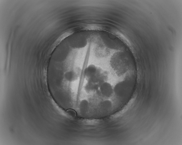 X0000113251041200910081314