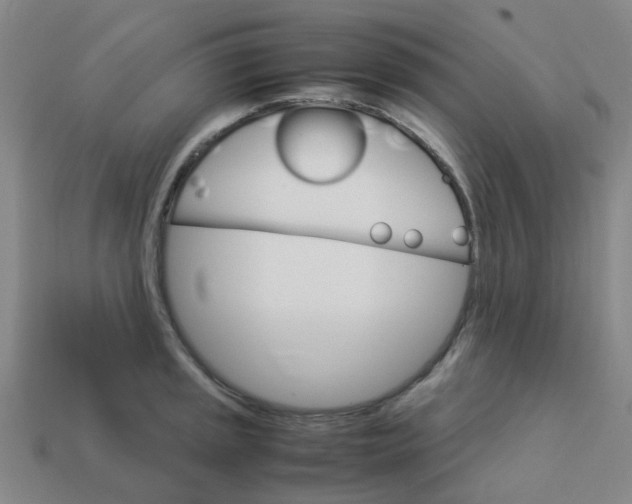 X0000113251045200910081315