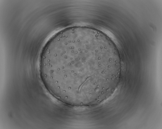 X0000113251046200910081315